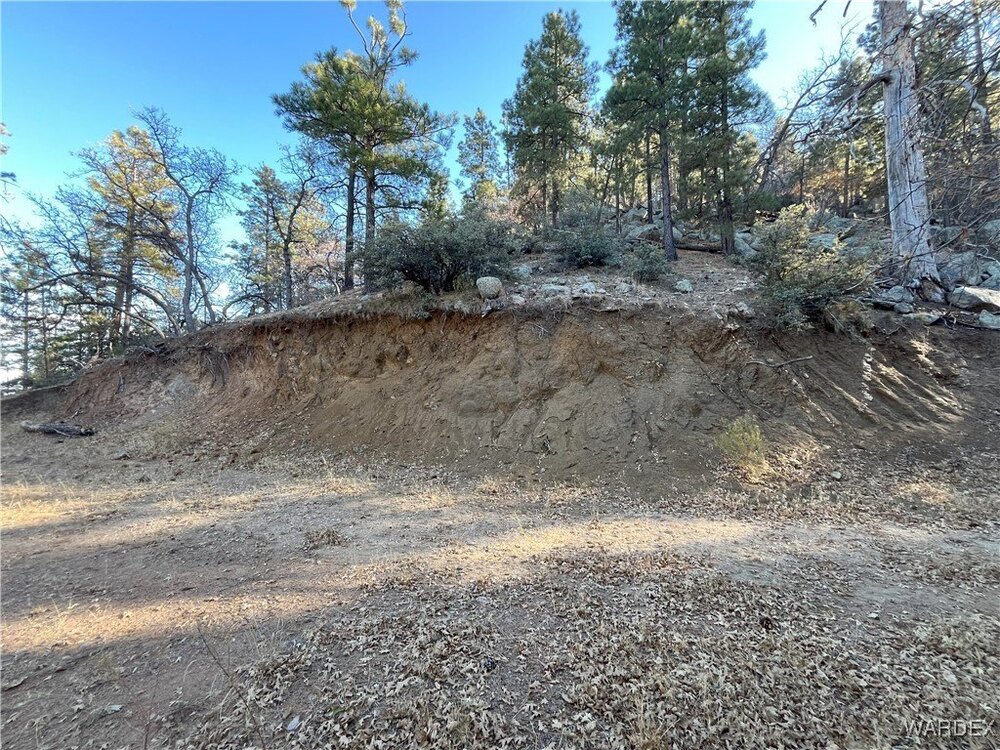 Photo of Mobile Home Lot