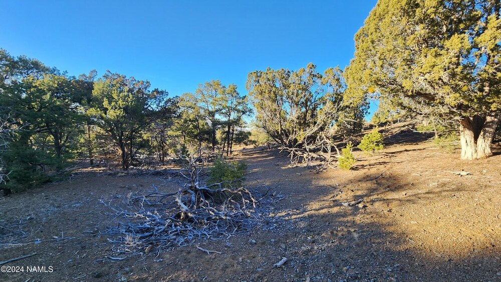 Photo of Mobile Home Lot