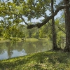 Photo of RV Park/Campground