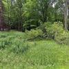 Mobile Home for Sale: Mobile Home
