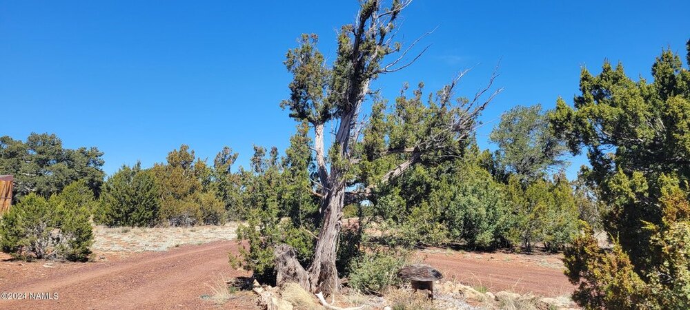 Photo of Mobile Home Lot
