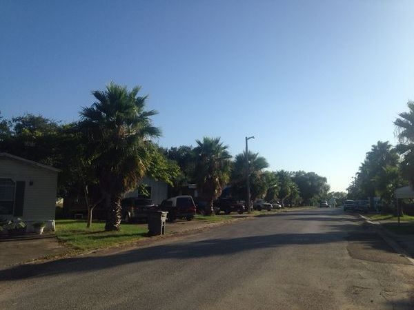 Palm Tree lined street