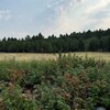 Photo of Mobile Home Lot