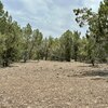 Photo of Mobile Home Lot