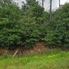 Mobile Home for Sale: 2005 Mobile Home