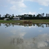 RV Lot for Sale: 11 improved acres, Kountze, TX