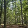 Photo of Mobile Home Lot