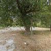 Mobile Home for Sale: 3 Bed 2 Bath 2021 Mobile Home