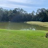 Cypress Lakes Village