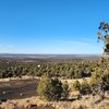 Photo of Mobile Home Lot