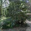 Mobile Home for Sale: 2005 Mobile Home