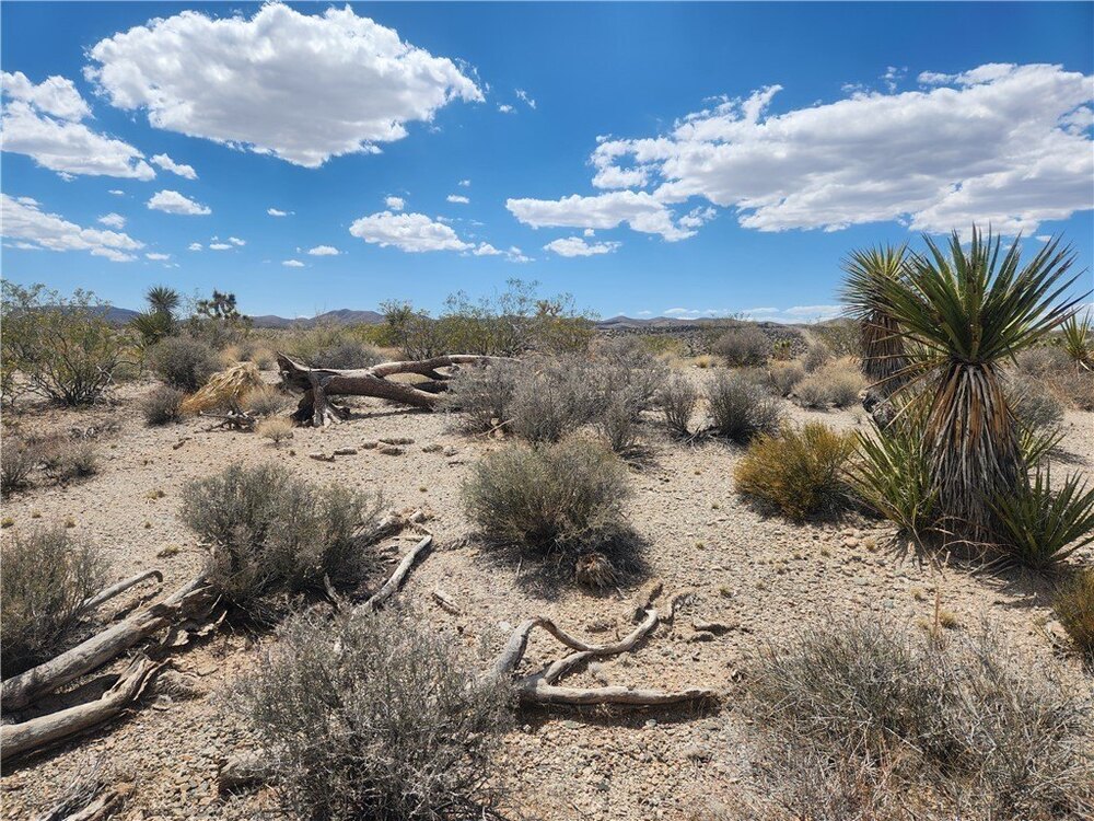Photo of Mobile Home Lot
