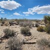 Photo of Mobile Home Lot