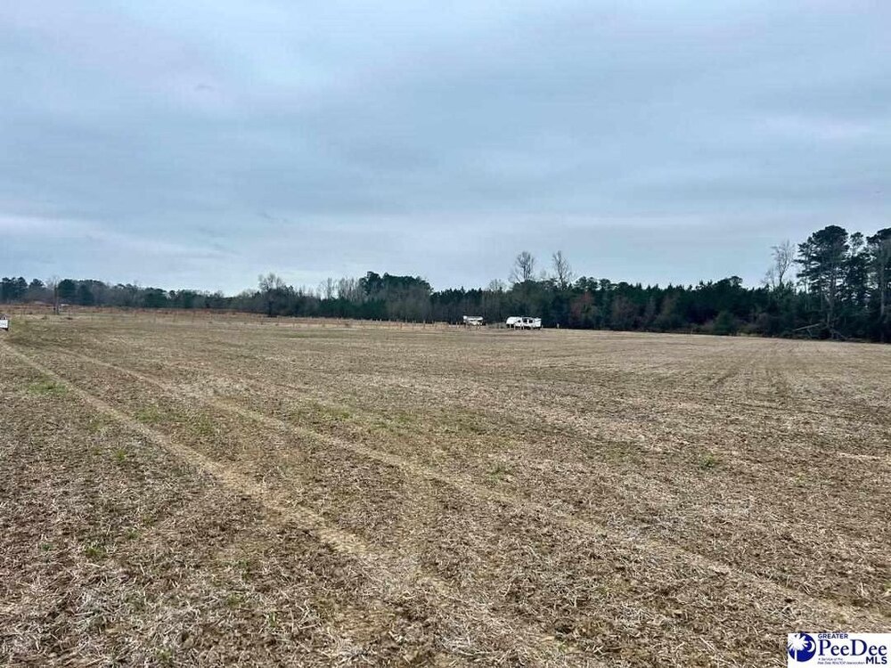Photo of Mobile Home Lot