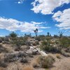 Photo of Mobile Home Lot