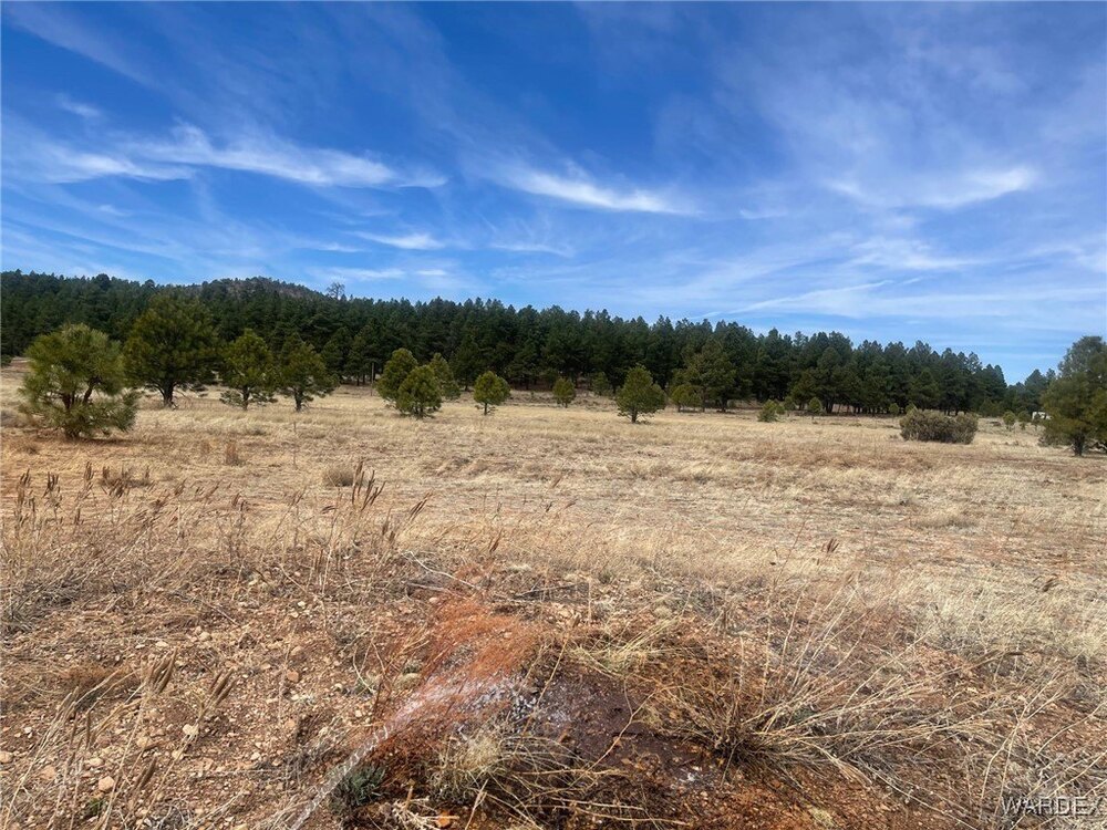 Photo of Mobile Home Lot