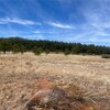 Mobile Home Lot for Sale: Manufactured Home - Williams, AZ, Williams, AZ