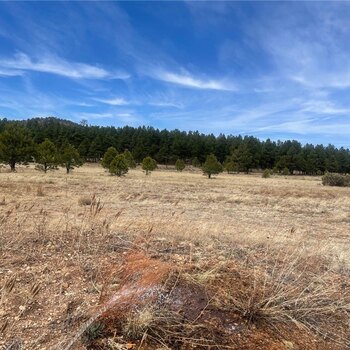 Photo of Mobile Home Lot