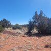 Photo of Mobile Home Lot
