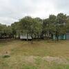 Mobile Home for Sale: 3 Bed 2 Bath 1972 Mobile Home
