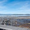Mobile Home for Sale: Manufactured Home, Other - Polson, MT, Polson, MT