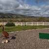 RV Lot for Sale: Site 579 Mountain Views huge lot with extended concrete area, Aguanga, CA
