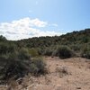 Photo of Mobile Home Lot