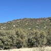 Photo of Mobile Home Lot