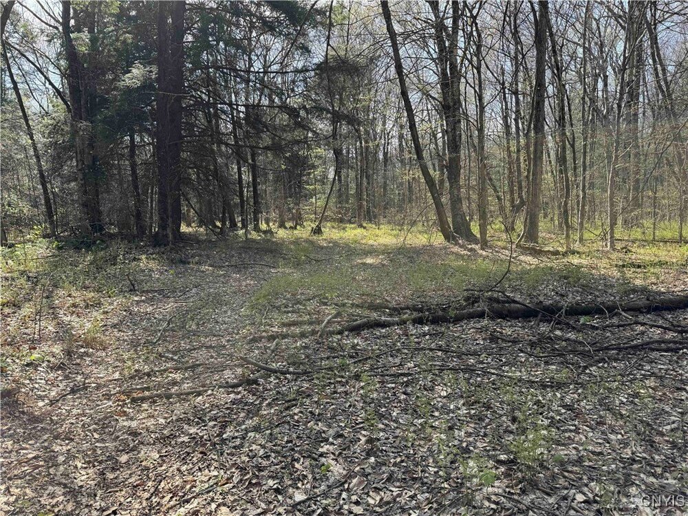 Photo of Mobile Home Lot