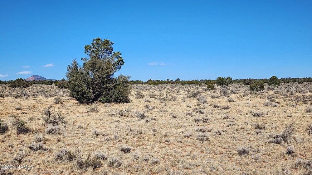 Photo of Mobile Home Lot
