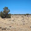 Photo of Mobile Home Lot