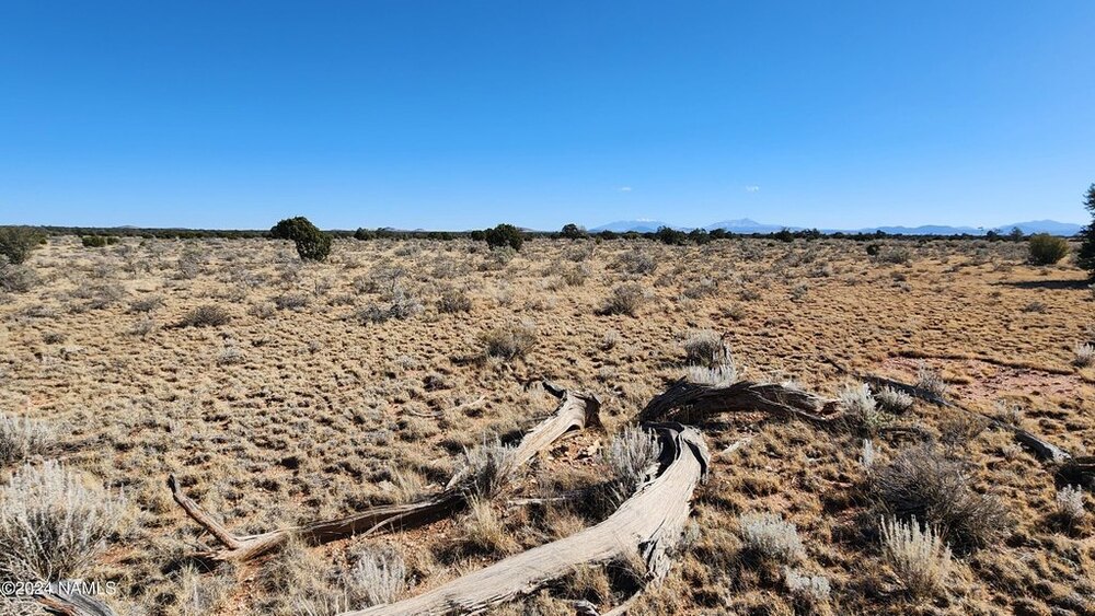 Photo of Mobile Home Lot