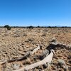 Photo of Mobile Home Lot