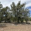 Photo of Mobile Home Lot