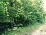 Photo of Mobile Home Lot
