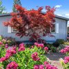 Mobile Home for Sale: In Park - White City, OR, White City, OR
