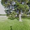 Mobile Home for Sale: 1985 Mobile Home