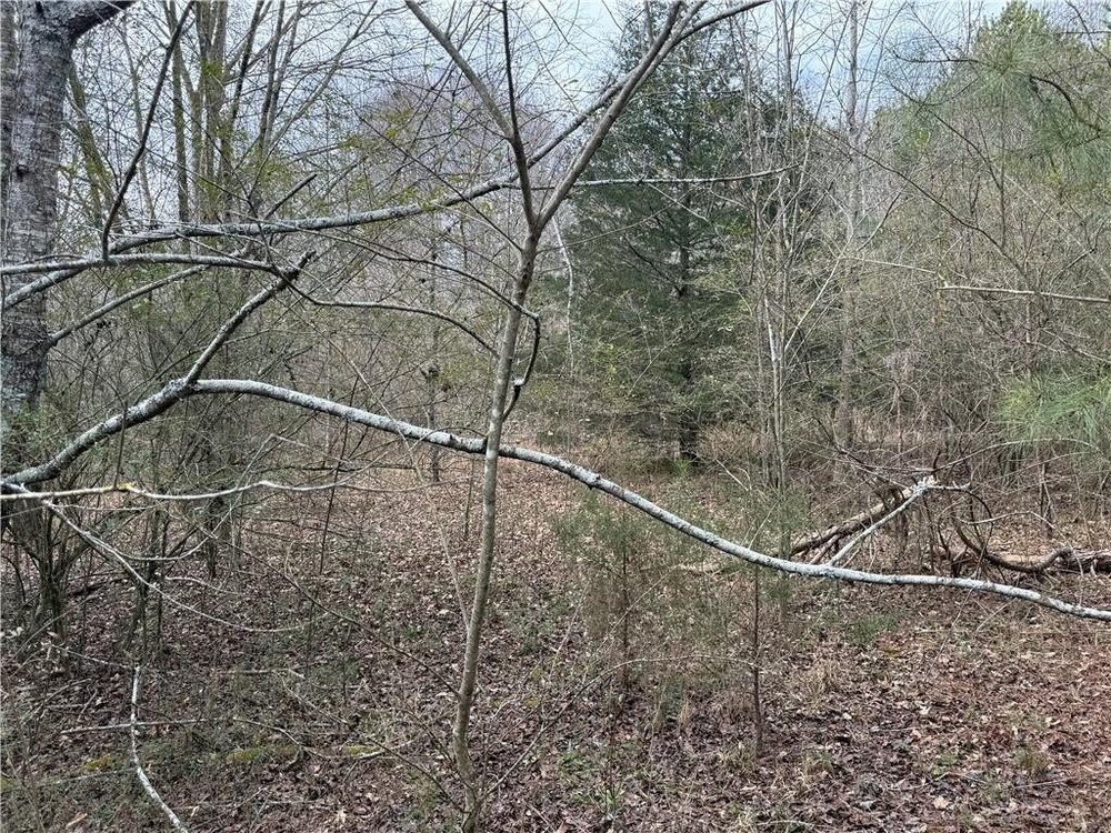 Photo of Mobile Home Lot