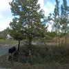 Mobile Home for Sale: 3 Bed 2 Bath 2011 Mobile Home