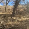 Photo of Mobile Home Lot