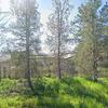 Mobile Home for Sale: 3 Bed 2 Bath 2001 Mobile Home