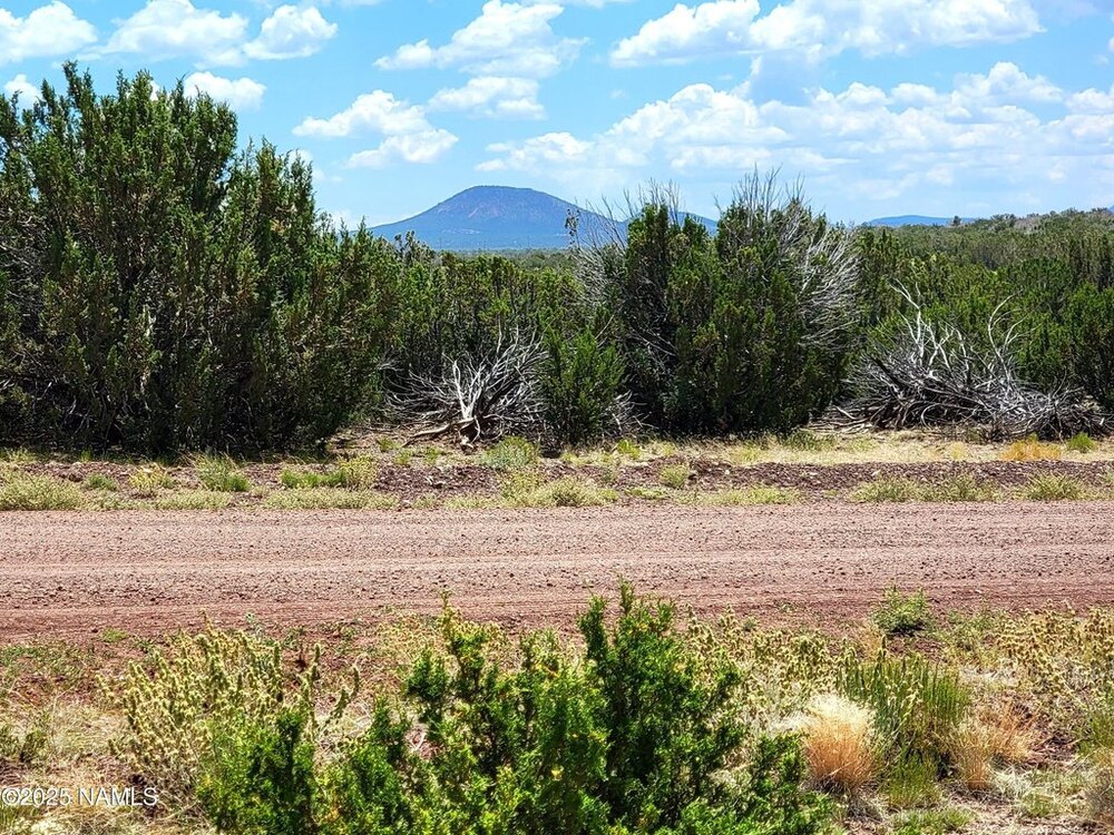 Photo of Mobile Home Lot