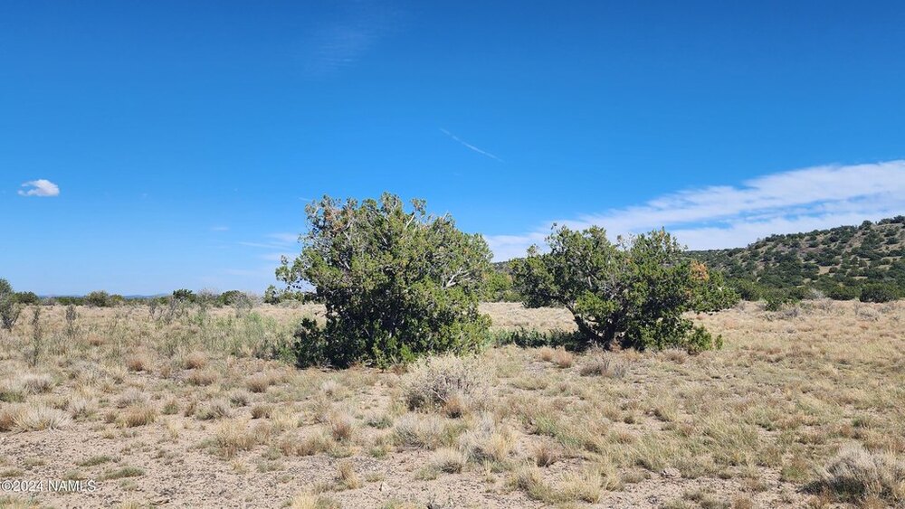 Photo of Mobile Home Lot