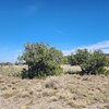 Photo of Mobile Home Lot