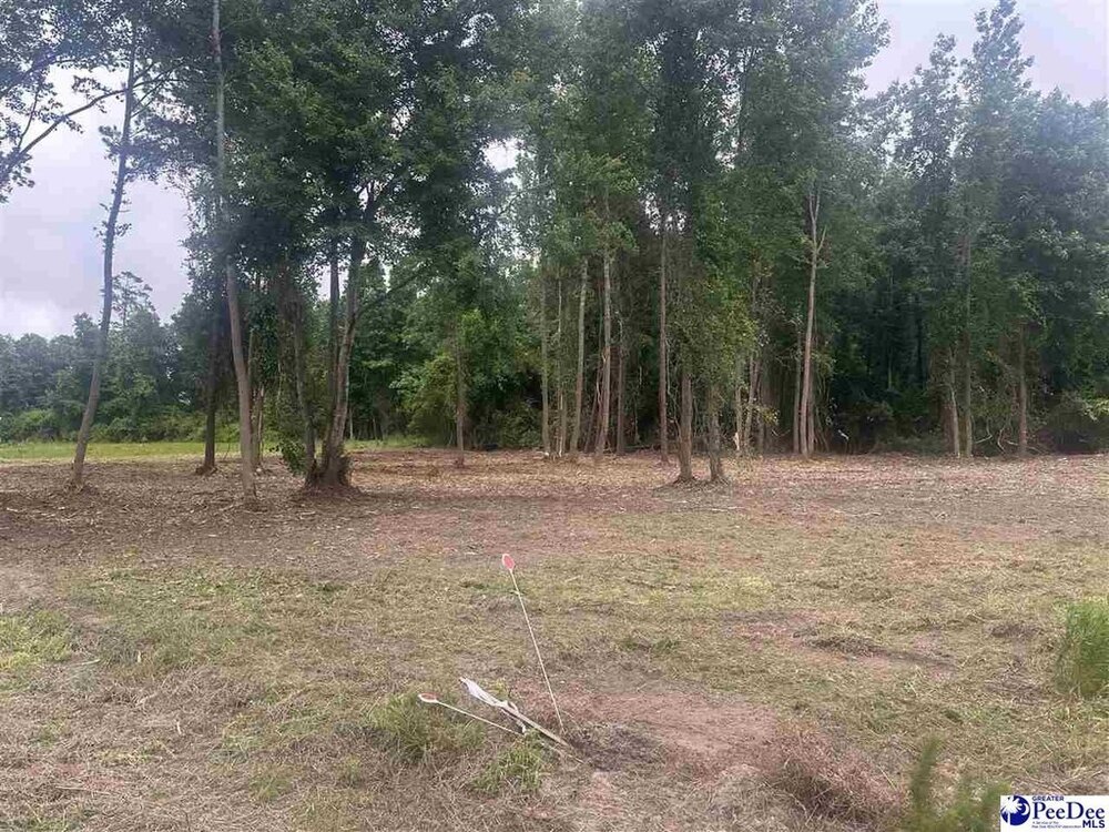 Photo of Mobile Home Lot