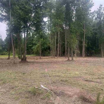 Photo of Mobile Home Lot