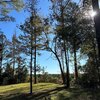 Mobile Home for Sale: Mobile, Manufactured w/Land - BUENA VISTA, GA, Buena Vista, GA