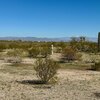 Photo of Mobile Home Lot