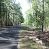 Mobile Home Lot for Sale: Mobile Home Lot - Walterboro, SC, Walterboro, SC