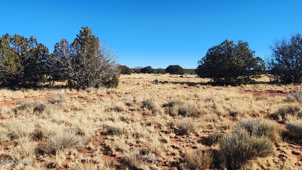 Photo of Mobile Home Lot